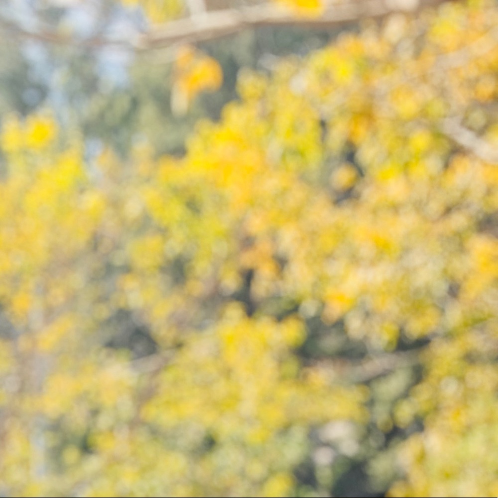 Meet your Posher, Jasmeen